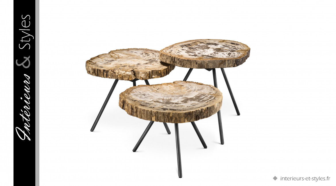 Ensemble de 3 tables basses en bois clair fossilisé, signé Eichholtz