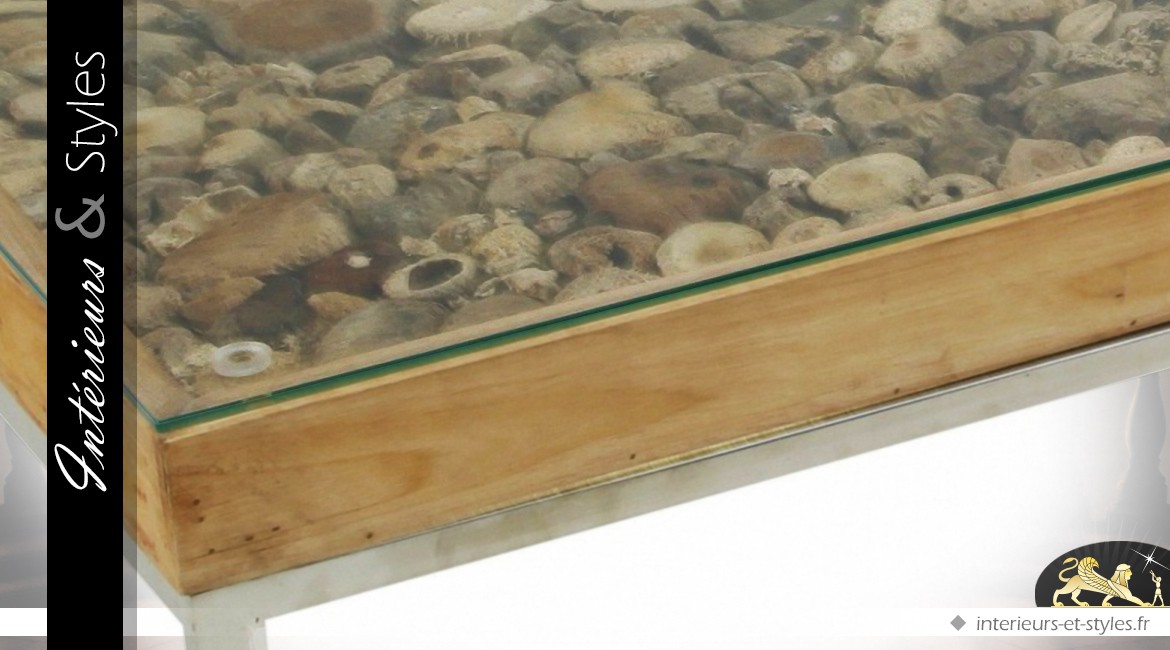 Table basse métal et verre avec vitrine décoration naturelle