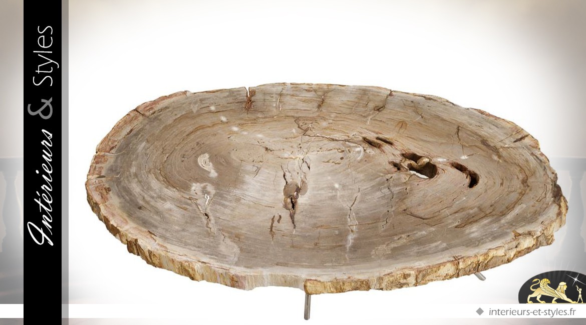 Table basse ovale en bois pétrifié et métal argenté