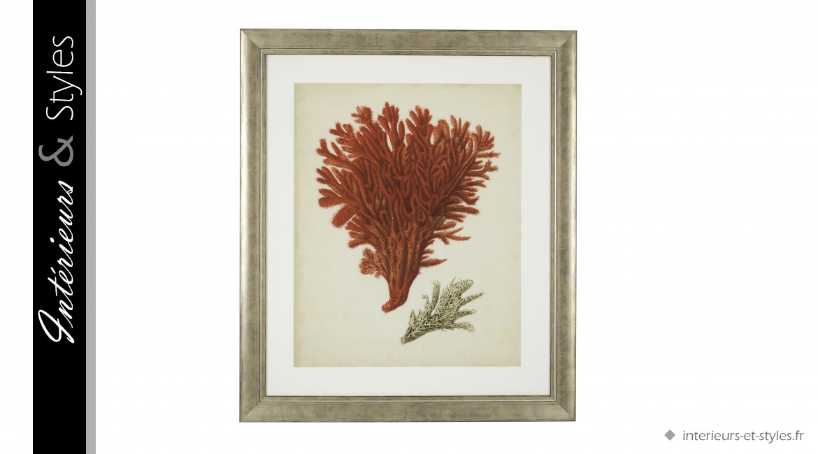 Ensemble de 6 impressions de corail rouge antique signées Eichholtz