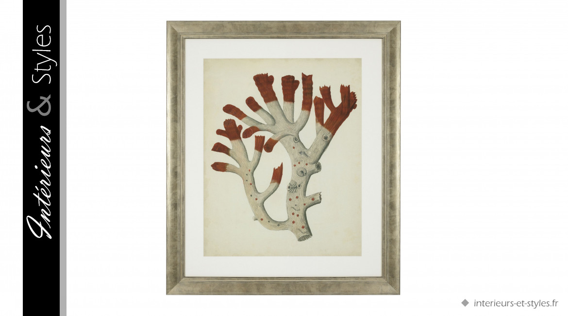 Ensemble de 6 impressions de corail rouge antique signées Eichholtz